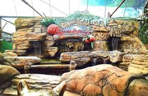 Batu Caves And Genting Highland Tour