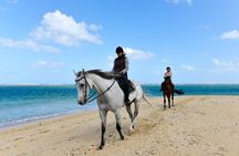 Mauritius Horse Riding at Riambel