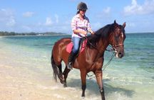 Mauritius Horse Riding at Riambel