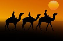 Desert Safari In Abu Dhabi With BBQ Dinner