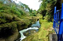 8 Days Best Kathmandu, Pokhara, Chitwan Yoga Tour in Nepal