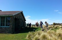 Guided Walk & Scenic Drive from Christchurch- Port Hills & Packhorse Hut