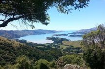 Guided Walk & Scenic Drive from Christchurch- Port Hills & Packhorse Hut