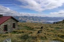Guided Walk & Scenic Drive from Christchurch- Port Hills & Packhorse Hut
