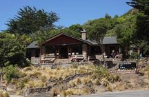 Guided Walk & Scenic Drive from Christchurch- Port Hills & Packhorse Hut