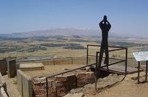 The Golan heights