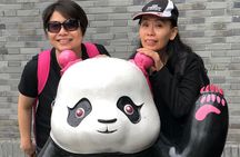 Private Panda Park and Irrigation System in Dujiangyan