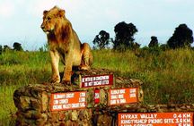 Nairobi National Park, Giraffe center & Beads Factory Guided Day Tour