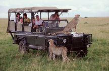 5 Days Aberdares Lake Nakuru & Masai Mara Wildlife Safari