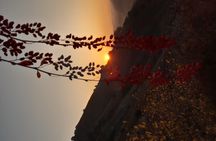 Photo, Dance & Romance: Armenia Tour