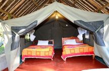 5 Days safari to Maasai Mara ,Lake Nakuru and Hell's gate national park