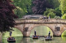 Punting Tour in Cambridge