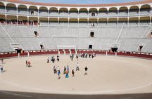 Las Ventas: Bullfighting Hall, Museum and Tour of the Bullring
