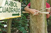 El Valle de Anton - Hiking and Swimming