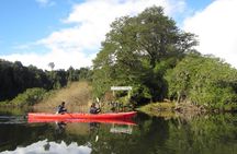 Kayak Laguna La Poza 1/2 day