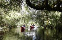 Kayak Laguna La Poza 1/2 day