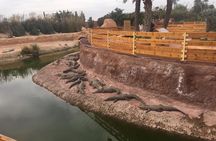 Croco & Anaconda parc Agadir