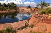 Croco & Anaconda parc Agadir
