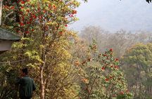 10 days Annapurna Base Camp Trek 