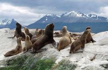Navigation Beagle Channel Isla de Lobos