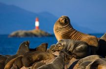 Navigation Beagle Channel Isla de Lobos