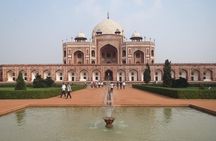 Golden Triangle with Tigers