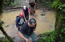 Los Tayos Cave + Mysterious Caverns + Light Wells One Day