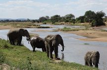 10 days Safari to Nyerere NP, Ruaha NP, Udzungwa NP and Mikumi NP + Isimila Site