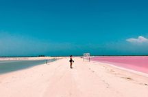 Tour Las Coloradas & Rio Lagartos only from Tulum