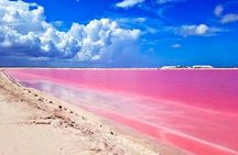 Tour Las Coloradas & Rio Lagartos only from Tulum
