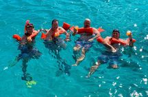 Private Aruba Snorkeling Excursion with Rum Punch 