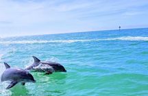 Small Group 2 Hour Dolphin Cruise with Snorkeling to Shell Key
