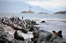 Beagle Channel Navigation Penguin Colony 