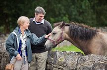 Private Half Day Tour To Connemara
