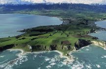Kaikoura Swim with Dolphins Tour from Christchurch