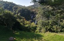 Bird watching tour departing from Bogota. (2 days)