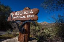 Sequoia National Park Adventure from Tulare