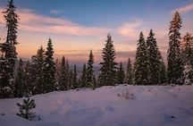 Sequoia National Park Adventure from Tulare