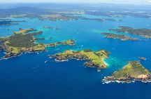 Group tour to Bay of Islands return from Auckland
