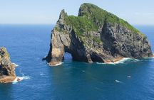 Group tour to Bay of Islands return from Auckland