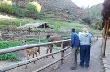 Sacred Valley Tour From either Urubamba or Ollantaytambo
