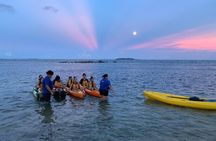 Bioluminescent Bay Night Kayaking from San Juan 6pm