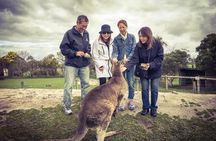 [Private Tour] “Penguin Parade” Phillip Island Tour. 