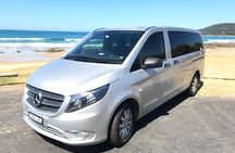 [PRIVATE TOUR] 12 Apostles | Great Ocean Road | Day Trip
