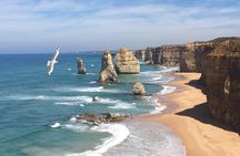[PRIVATE TOUR] 12 Apostles | Great Ocean Road | Day Trip