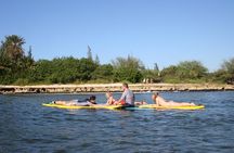 North Shore Beginner Surf Lesson, Hawaii
