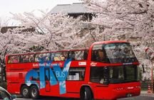 Kyoto SKYBUS Hop-On Hop-Off Sightseeing Bus 