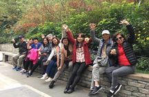 Visiting Chengdu Panda Base in a Half Day