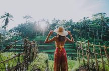 Ubud: Waterfall, Rice Terraces, and Monkey Forest Private Tour