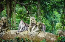 Ubud: Waterfall, Rice Terraces, and Monkey Forest Private Tour